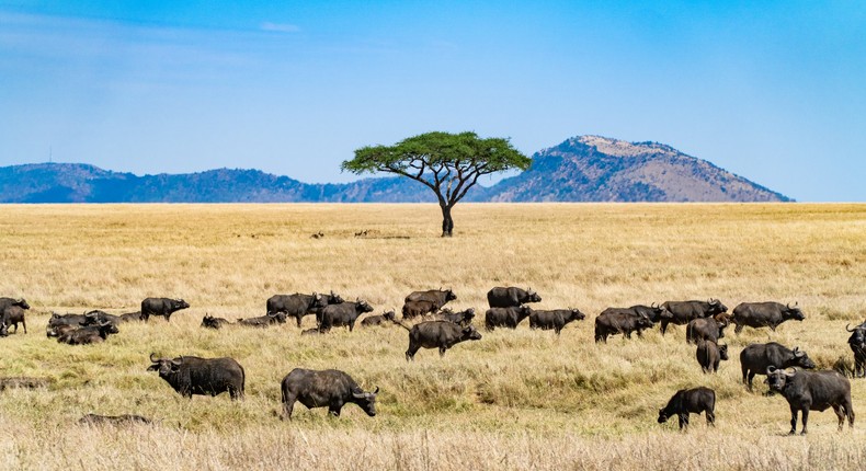 4 of the most beautiful places to travel to in Africa