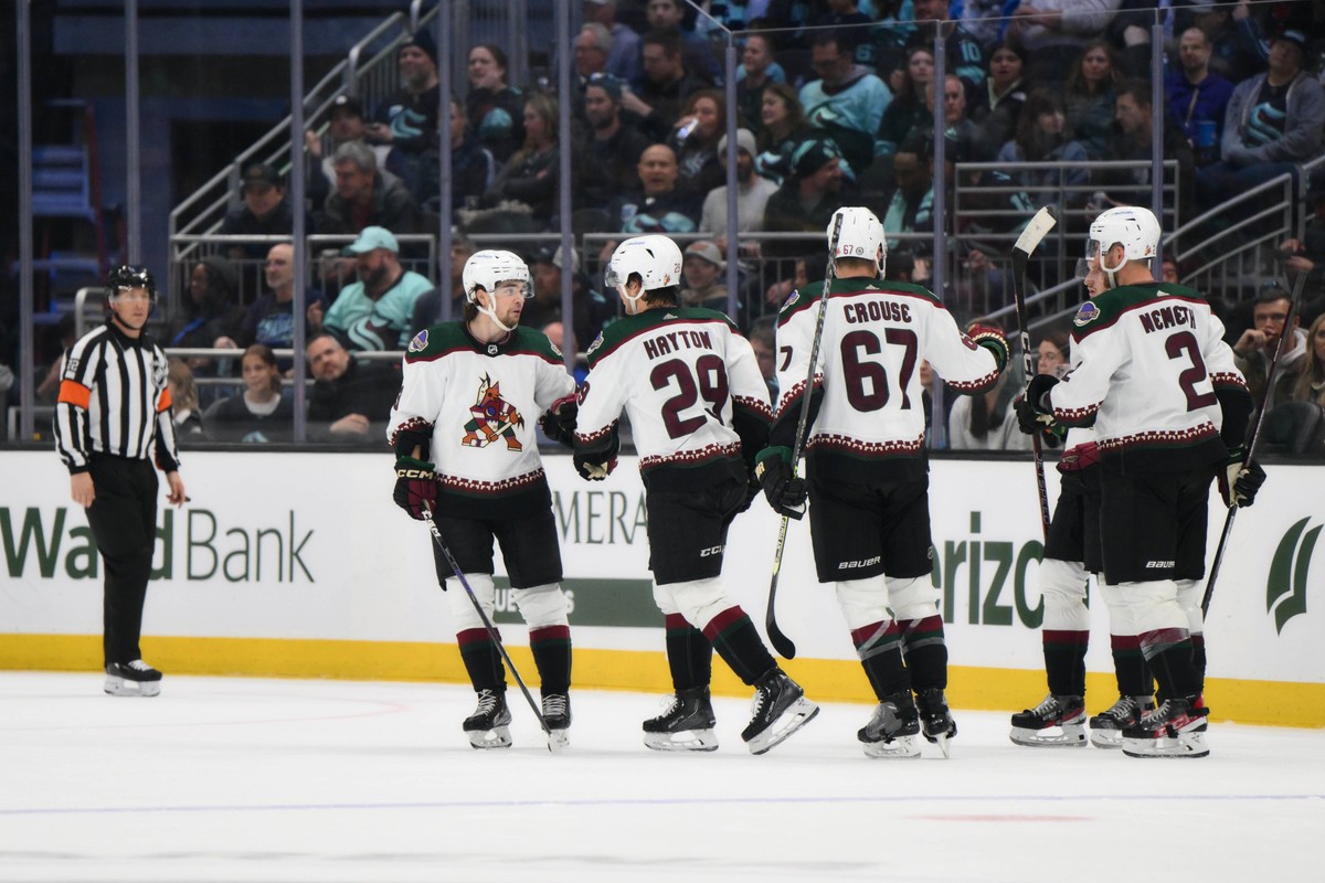 Arizona Coyotes