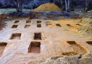 428862_florida-skola01apfoto-ap