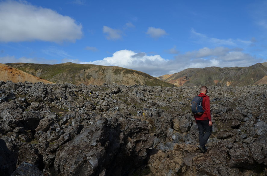 Pole lawy w okolicy wulkanu Brennisteinsalda, Islandia.