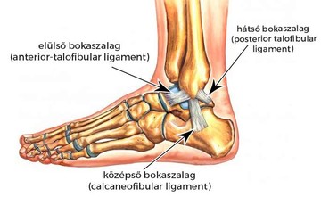 Mi az ínszalagszakadás?