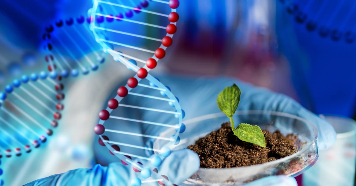 Trudny QUIZ z biologii. Licealista da radę, a Ty? Dwa pytania są dość proste