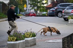 Poszukiwania Grzegorza Borysa. Policja publikuje nowe ZDJĘCIA i NAGRANIE