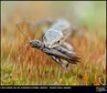 The best of Wielki Konkurs Fotograficzny National Geographic