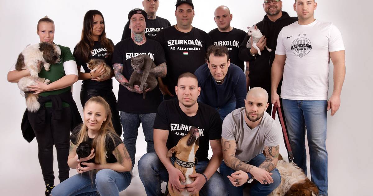 Interjú a Szurkolók az állatkínzás ellen vezetőjével, Kapin Ricsivel - Noizz