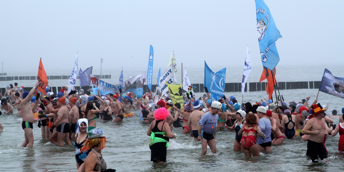 morsy na plaży w Kołobrzegu