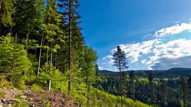 GOPR: w Beskidach warunki na szlakach są dobre