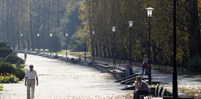 Wymienią drzewa w parku. Będzie jak za PRL