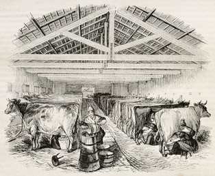 Santorski: Kultura folwarku przetrwała w polskich firmach