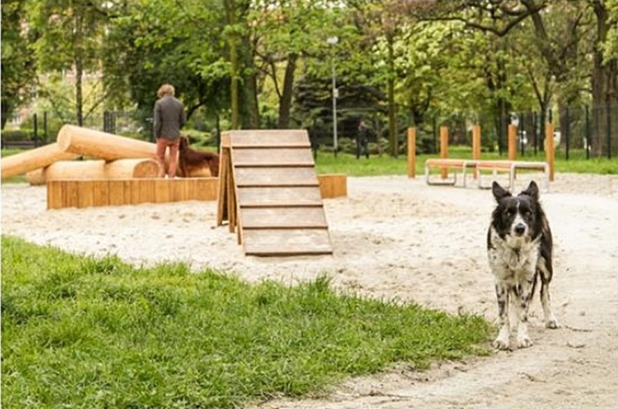 źródło: bo.um.warszawa.pl