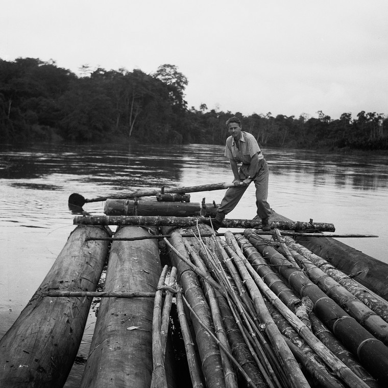 Thor Heyerdahl pozyskuje drewno na tratwę "Kon-Tiki"