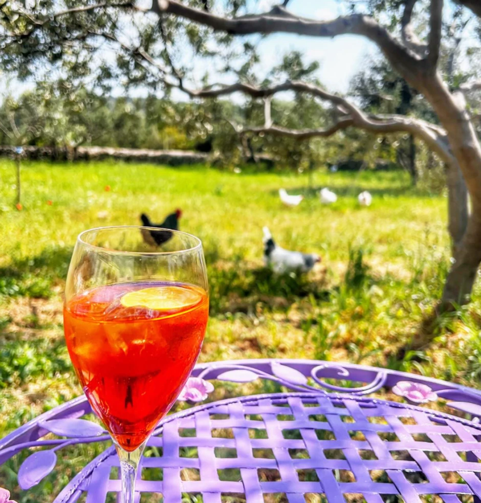 Danijel Dvornik pokazala kako uživa u dvorištu