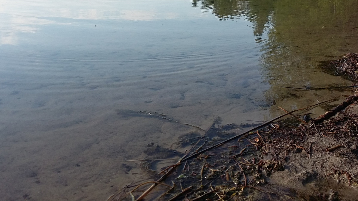Płetwonurkowie odnaleźli ciało wędkarza zaginionego pod koniec lutego na Jeziorze Ławki w okolicach Jezioran.