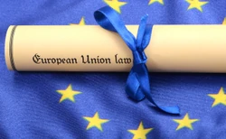 Czy stworzyć UE bez Polski i Węgier? "To są naprawdę nuklearne opcje"