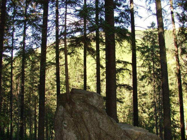 Galeria Polska - Tatry - wycieczka na Grzesia i Rakoń, obrazek 30