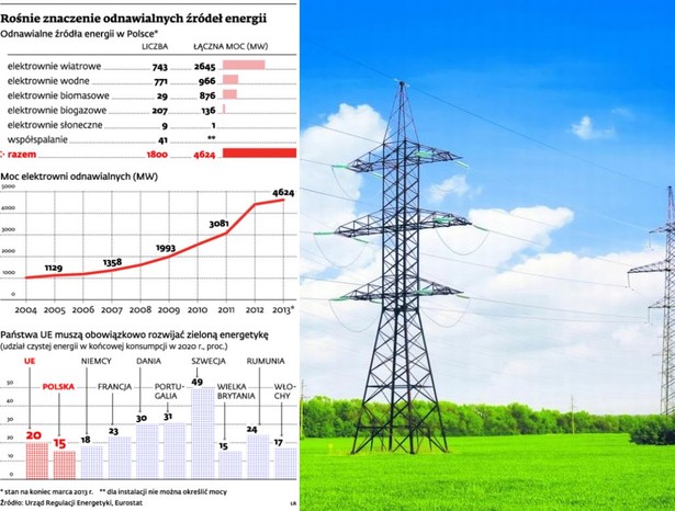 Rośnie znaczenie odnawialnych źródeł energii