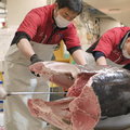 Ponad 11 mln zł za tuńczyka ważącego 278 kg. Tak wygląda największy targ rybny świata