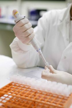 laboratorium-d00000305a00af108a1b0