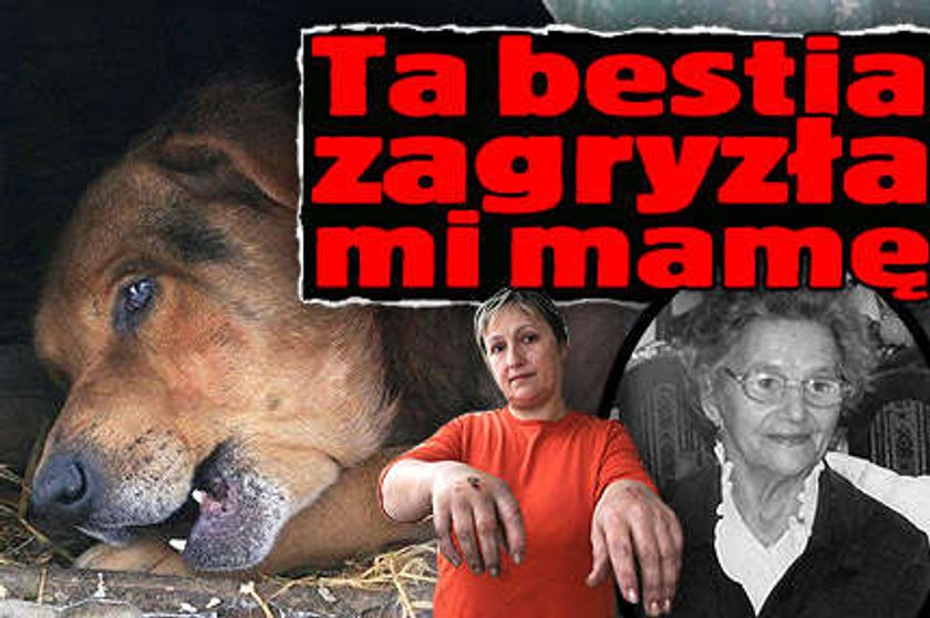 Ta bestia zagryzła moją mamę