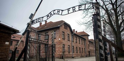 Nastoletni Anglicy odpowiedzą za kradzież pamiątek z Auschwitz