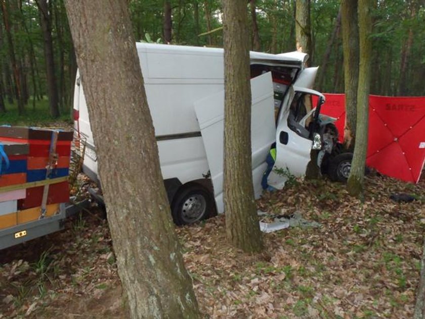 Tragiczny wypadek. Bus z pszczołami rozbił się o drzewo