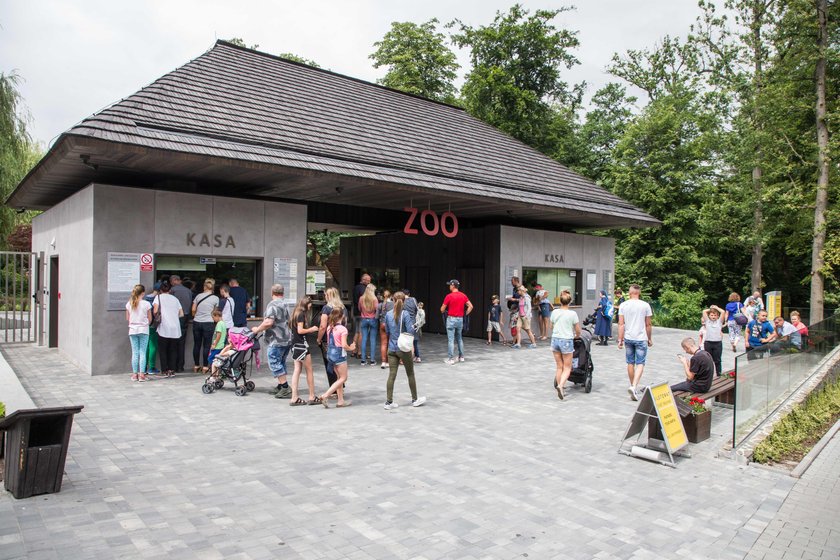 Odwiedź krakowskie zoo