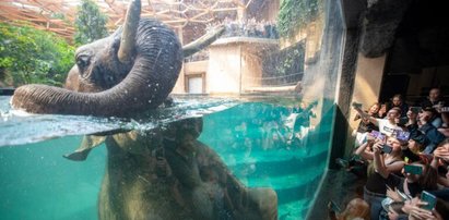 Orientarium – najnowocześniejsze zoo w Europie!