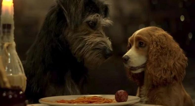 Filming 'Lady & The Tramp' with Real Dogs Was Ruff