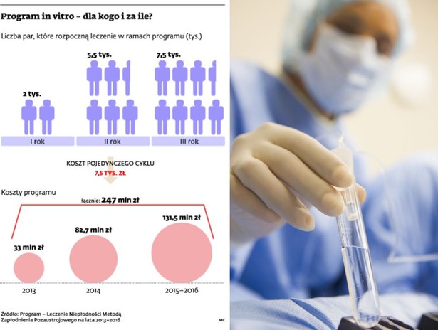 Program in vitro – dla kogo i za ile?