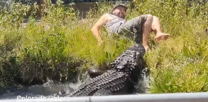Mężczyzna uciekł sprzed paszczy gigantycznego aligatora. Jest nagranie!