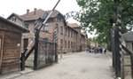 Rozebrali się do naga i zabili jagnię pod bramą Auschwitz. Tak się tłumaczą