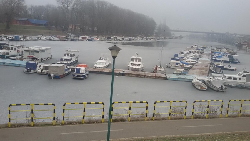 Led u Čukaričkom rukavcu