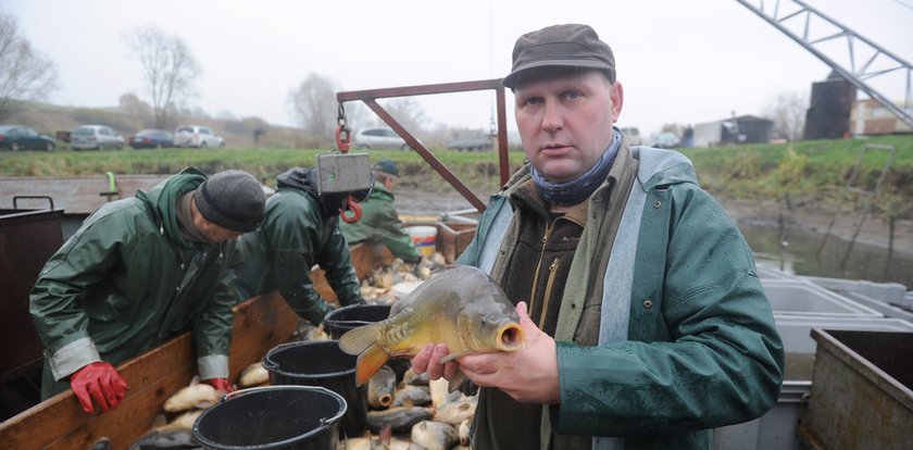 Szok! Aż tyle ma kosztować karp na święta