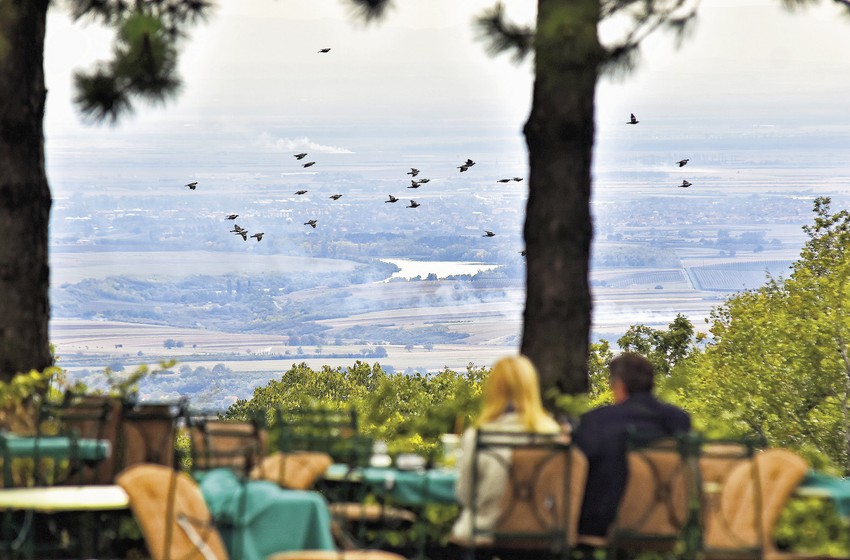 Novi Sad, Fruška gora