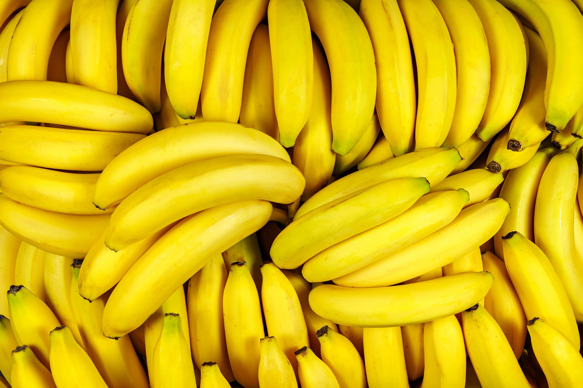 Najrozšírenejší druh banánov napadla zákerná choroba.
