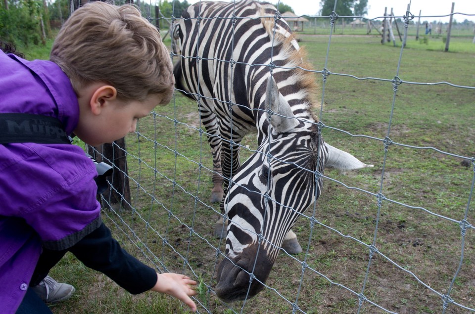 Pięciolecie Zoo Safari