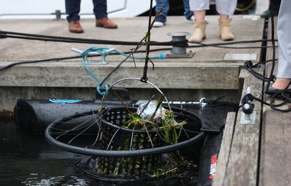 Gdańsk, ul. Szafarnia. Seabin, czyli morski kosz na śmieci. Fundacja Mare przekazuje urządzenie GOS