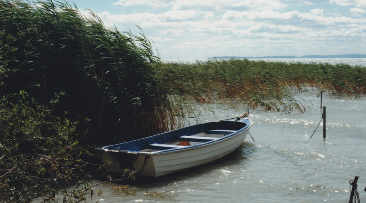 Egy személyt keresnek a Balatonnál, a testvérét nem sikerült újraéleszteni / Fotó: Pexels