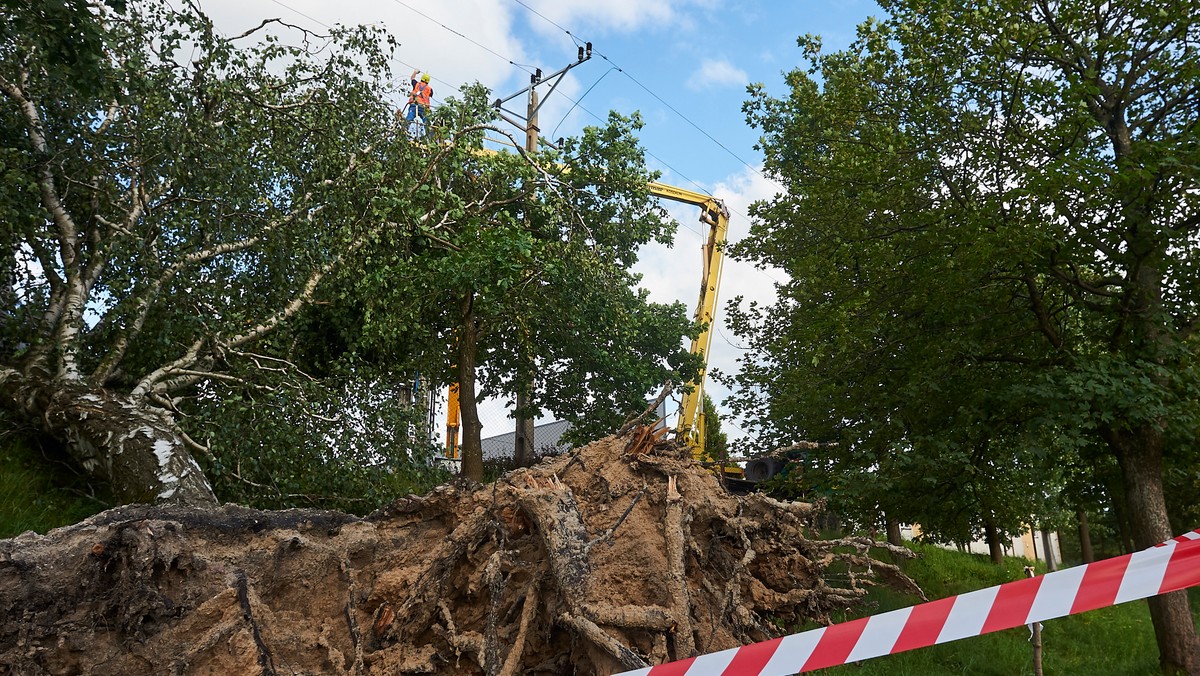 Wg wstępnych szacunków RDLP w Gdańsku, na obszarze jej działania nawałnica, która przeszła w weekend nad regionem, zmiotła z powierzchni ziemi ponad 6 tys. ha lasu. Leśnicy apelują, by – ze względu na zagrożenie wiatrołomami - nie wchodzić do pomorskich lasów.