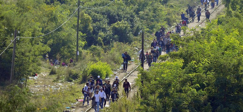 BBN ostrzega: Strefa Schengen może być zagrożona