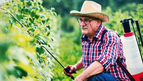 Die beliebtesten Drucksprüher von Gardena: Leichter Düngen & Pestizide verteilen