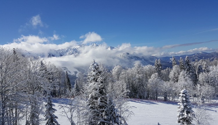 Arktyczny atak zimy uderzy we wtorek. Mróz do -30°C i potężne śnieżyce sparaliżują Polskę