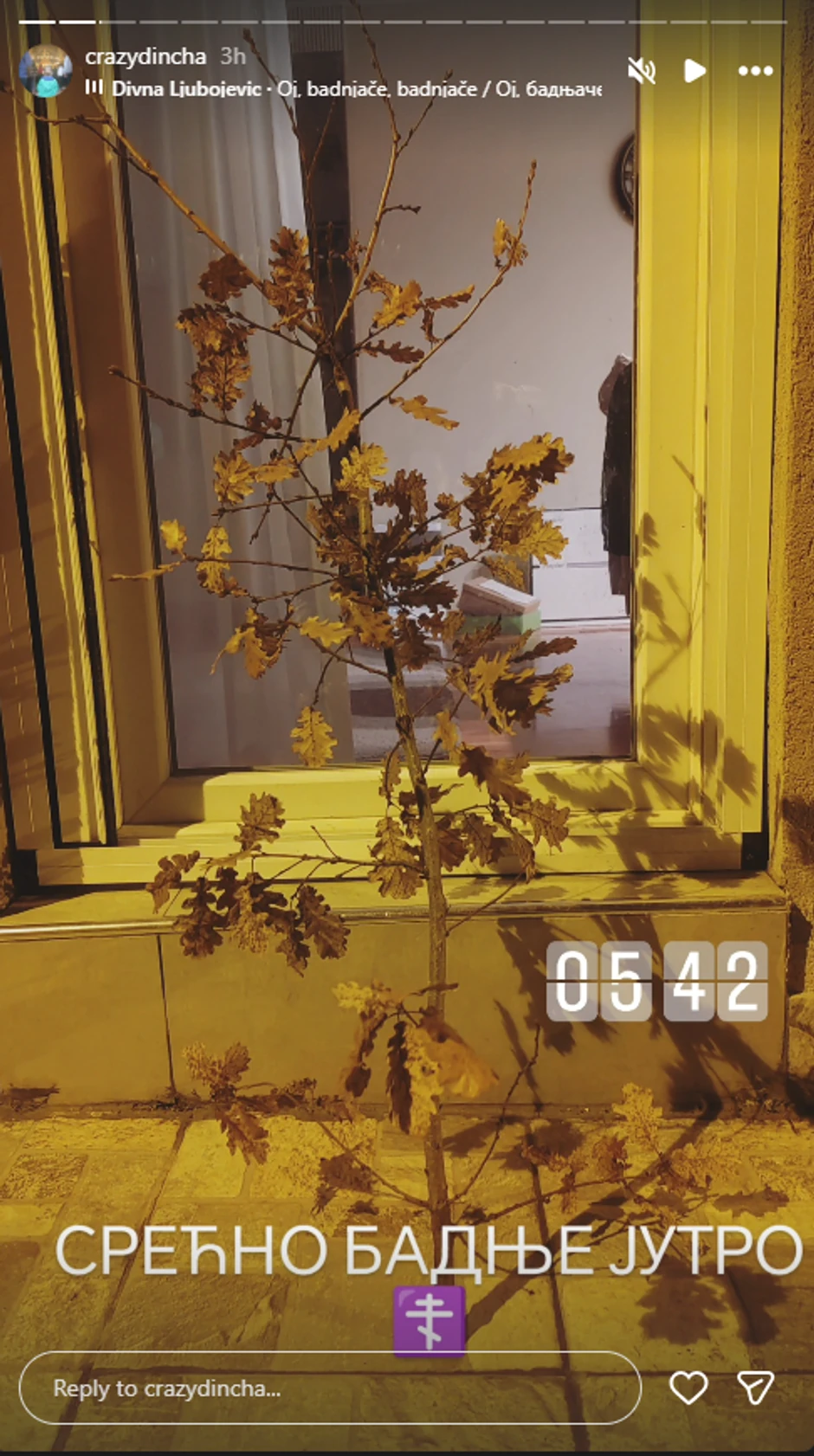 Dinča otišao u Badnjake