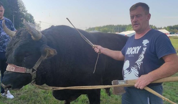 Bik Mrki stigao na Kočićev zbor