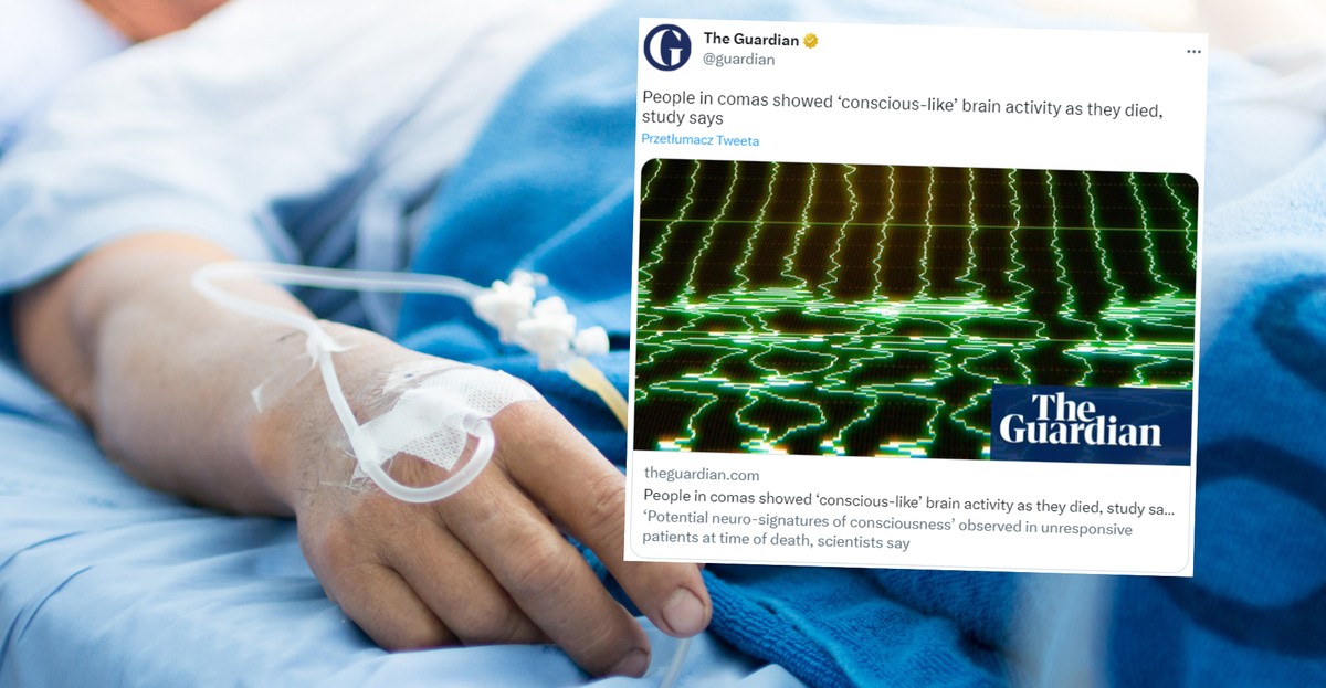 Los científicos han notado "momento de conciencia" en personas moribundas. "Puede ser de la extracción de recuerdos. " (imagen ilustrativa, captura de pantalla: twitter.com/@guardian)