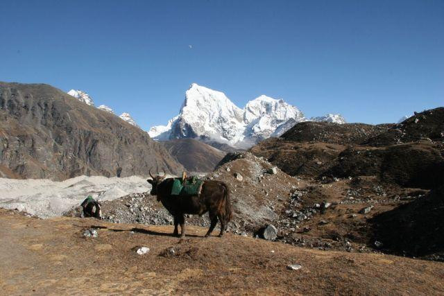 Galeria Nepal - trekking pod Everestem, obrazek 22