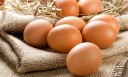 Dieta jajeczna - czy może być szkodliwa? Główne zasady oraz wady jej stosowania