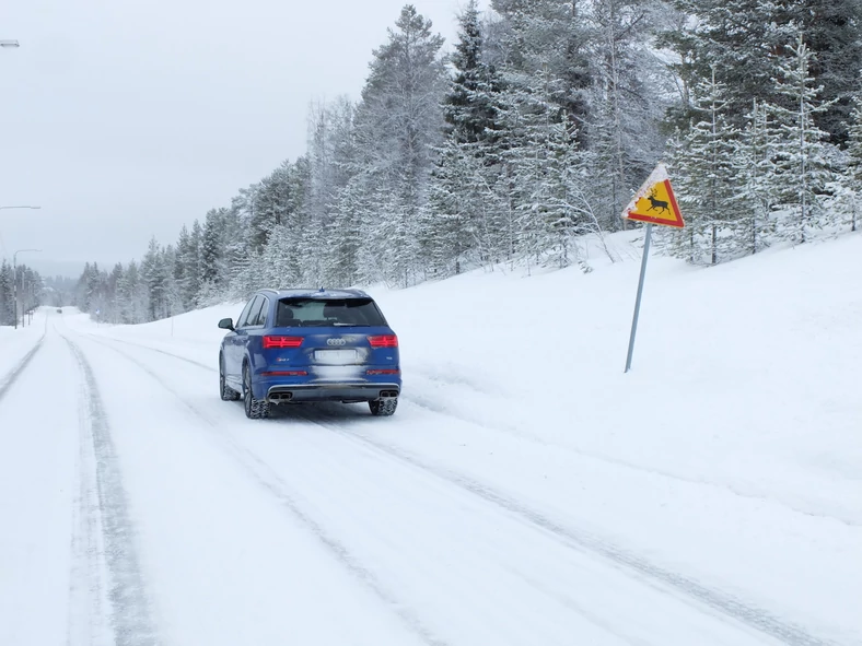 Audi SQ7 Nordkap Tour