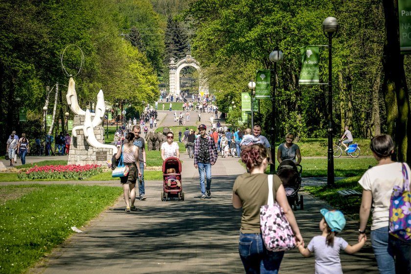 Katowice. Wielka majówka w mieście