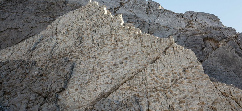 Sensacyjne odkrycie. Znaleziono wielką dolinę dinozaurów